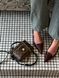 Louis Vuitton Vanity PM Bag Monogram Reverse Coated Canvas Calf [магнітна коробка] pr00759 фото 1