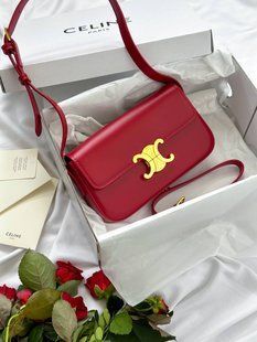 Celine Triomphe PREMIUM [звичайна брендована коробка] pr02415 фото