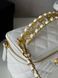 Chanel Classic Black Lambskin Pearl Crush Vanity Bag White/ Silver [оригінальна коробка] pr0021 фото 5
