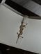 Saint Laurent Hobo Le 5 A 7 Leather Shoulder Bag in White pr00391 фото 3