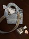 Christian Dior Medium Lady D-Lite Bag Light Grey [оригінальна коробка] pr01247 фото 7