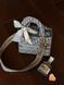Christian Dior Medium Lady D-Lite Bag Light Grey [оригінальна коробка] pr01247 фото 9