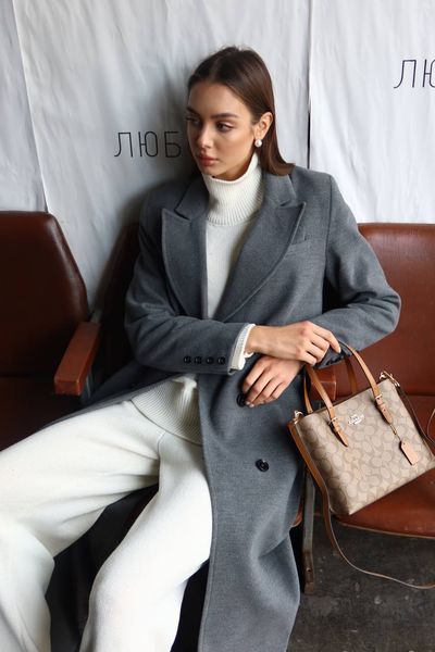 Coach Mollie Tote Bag In Signature Canvas Brown/Beige [оригінальна магнітна брендована коробка] pr0167 фото