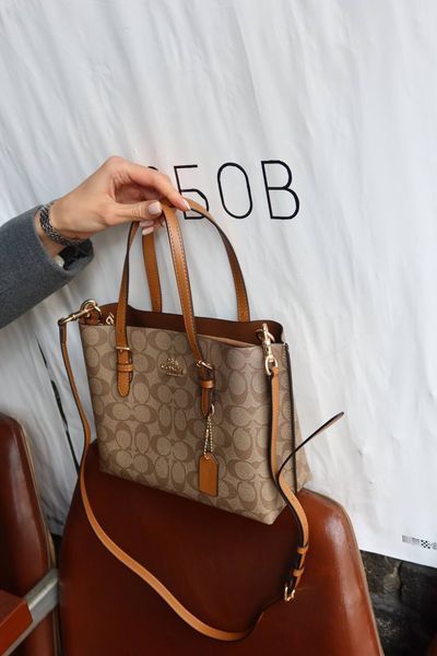 Coach Mollie Tote Bag In Signature Canvas Brown/Beige [оригінальна магнітна брендована коробка] pr0167 фото