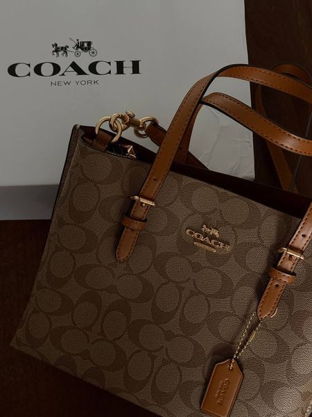 Coach Mollie Tote Bag In Signature Canvas Brown/Beige [оригінальна магнітна брендована коробка] pr0167 фото