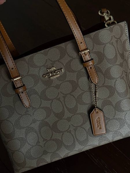 Coach Mollie Tote Bag In Signature Canvas Brown/Beige [оригінальна магнітна брендована коробка] pr0167 фото