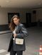 Celine Teen Triomphe Bag in Shiny Calfskin MILK PREMIUM [оригінальна коробка] pr0011 фото 26