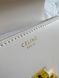 Celine Teen Triomphe Bag in Shiny Calfskin MILK PREMIUM [оригінальна коробка] pr0011 фото 5