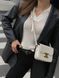 Celine Teen Triomphe Bag in Shiny Calfskin MILK PREMIUM [оригінальна коробка] pr0011 фото 20