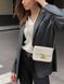 Celine Teen Triomphe Bag in Shiny Calfskin MILK PREMIUM [оригінальна коробка] pr0011 фото 17