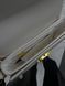 Celine Teen Triomphe Bag in Shiny Calfskin MILK PREMIUM [оригінальна коробка] pr0011 фото 14