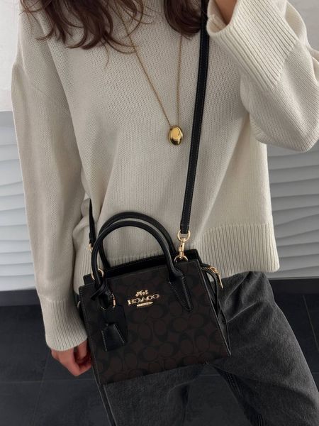 Coach Andrea Carryall In Signature Canvas Brown/Black[магнітна коробка] pr97034 фото
