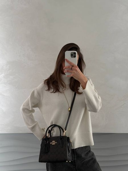Coach Andrea Carryall In Signature Canvas Brown/Black[магнітна коробка] pr97034 фото