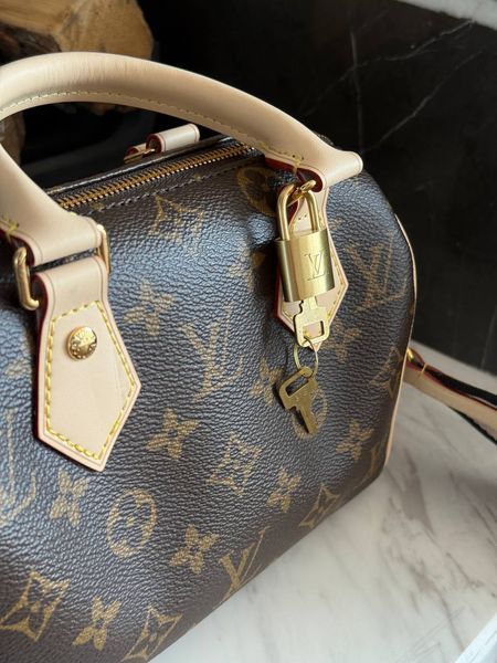 Louis Vuitton Speedy Nano Brown/Milk Коробка магніт lv1031 фото