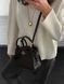 Coach Andrea Carryall In Signature Canvas Brown/Black[магнітна коробка] pr97034 фото 2