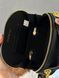 Dior CD Signature Oval Camera Bag Black [оригінальна коробка] pr01238 фото 7