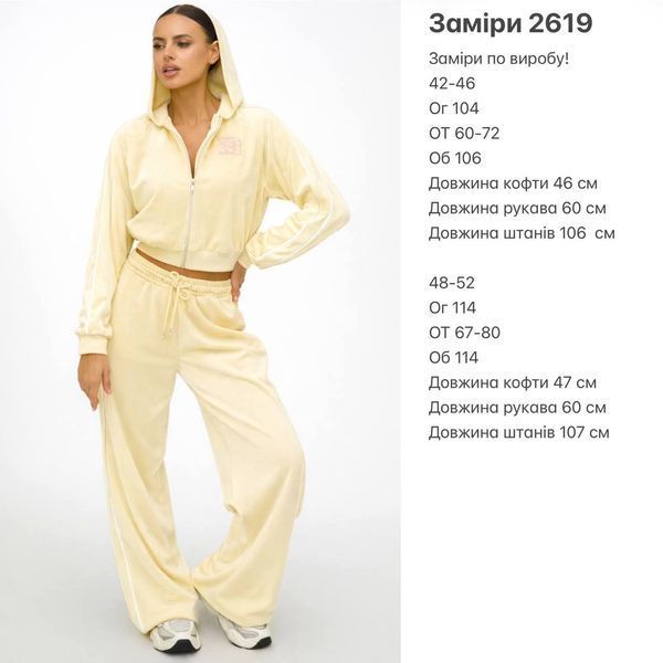 Спортивний костюм  2619 фото